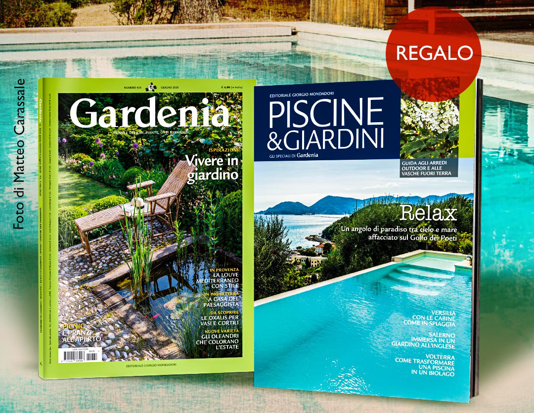 Speciale Gardenia: Piscine & Giardini