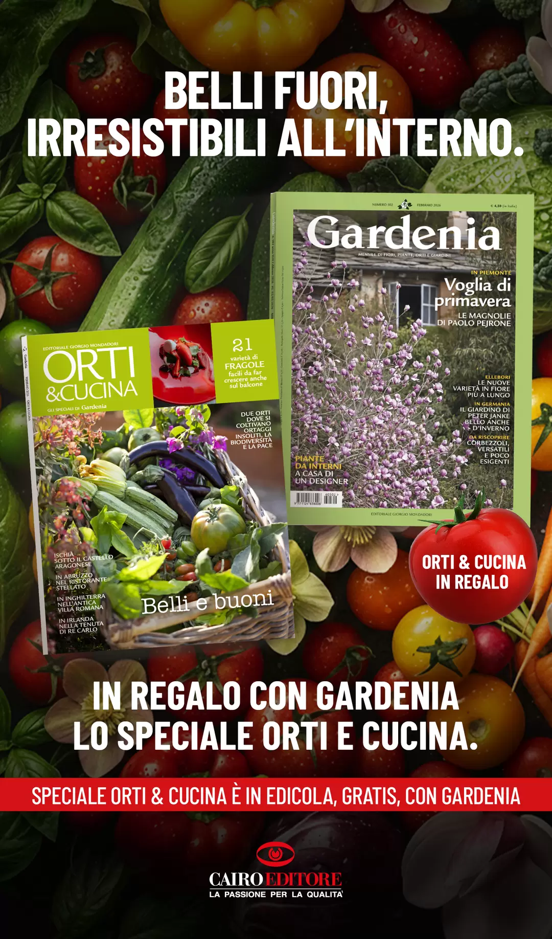 BELLI FUORI, IRRESISTIBILI ALL’INTERNO.