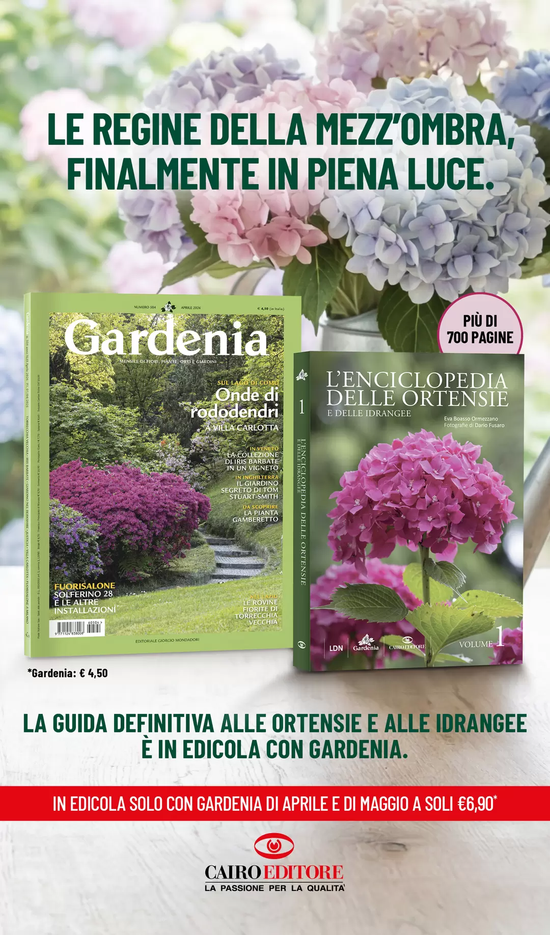 LE REGINE DELLA MEZZ’OMBRA, FINALMENTE IN PIENA LUCE.